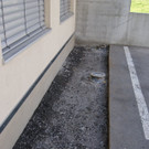 DSC08480.JPG