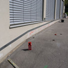 DSC08502.JPG