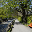 _c_ Gerhard Scopoli - Ostersonntag 2014 - Schruns - 151.jpg