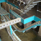 DSC03427.jpg
