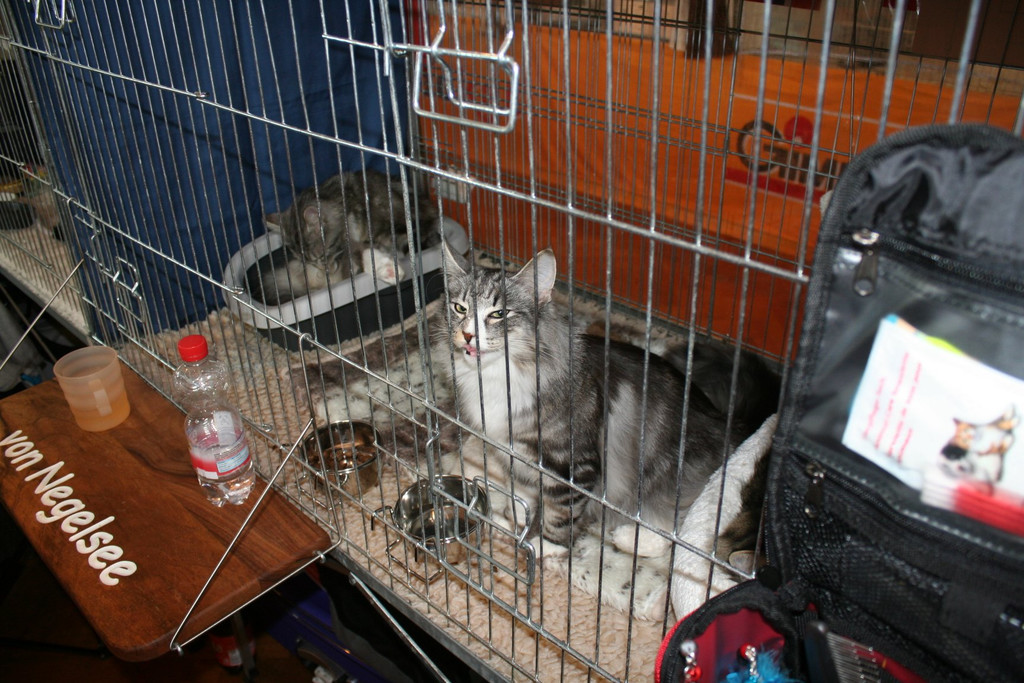 IMG_7807.JPG