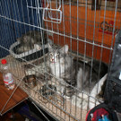IMG_7807.JPG