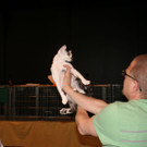 IMG_7816.JPG