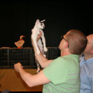 IMG_7818.JPG