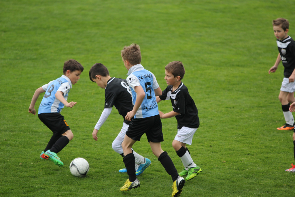 20140412_Altach - SCA_0380.JPG