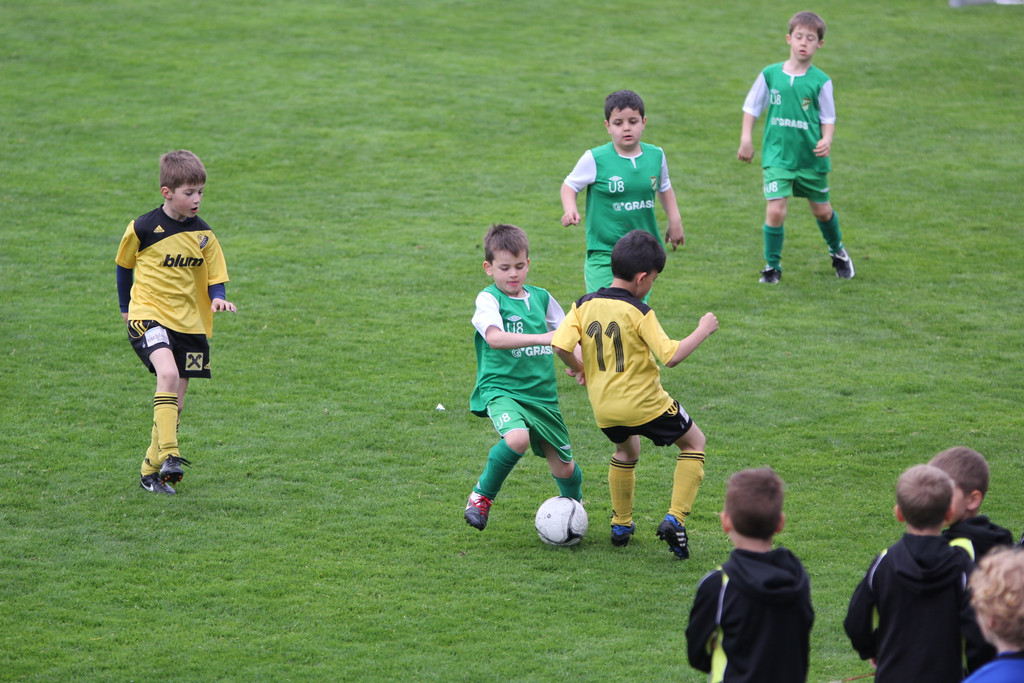 20140412_Altach - SCA_0393.JPG