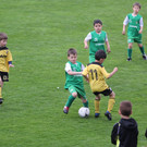 20140412_Altach - SCA_0393.JPG