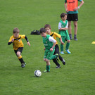 20140412_Altach - SCA_0408.JPG