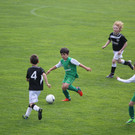 20140412_Altach - SCA_0412.JPG