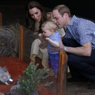 Prinz George und das Bilby: Liebe auf den ersten Blick