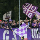 50 - Kopie - Kopie.jpg
