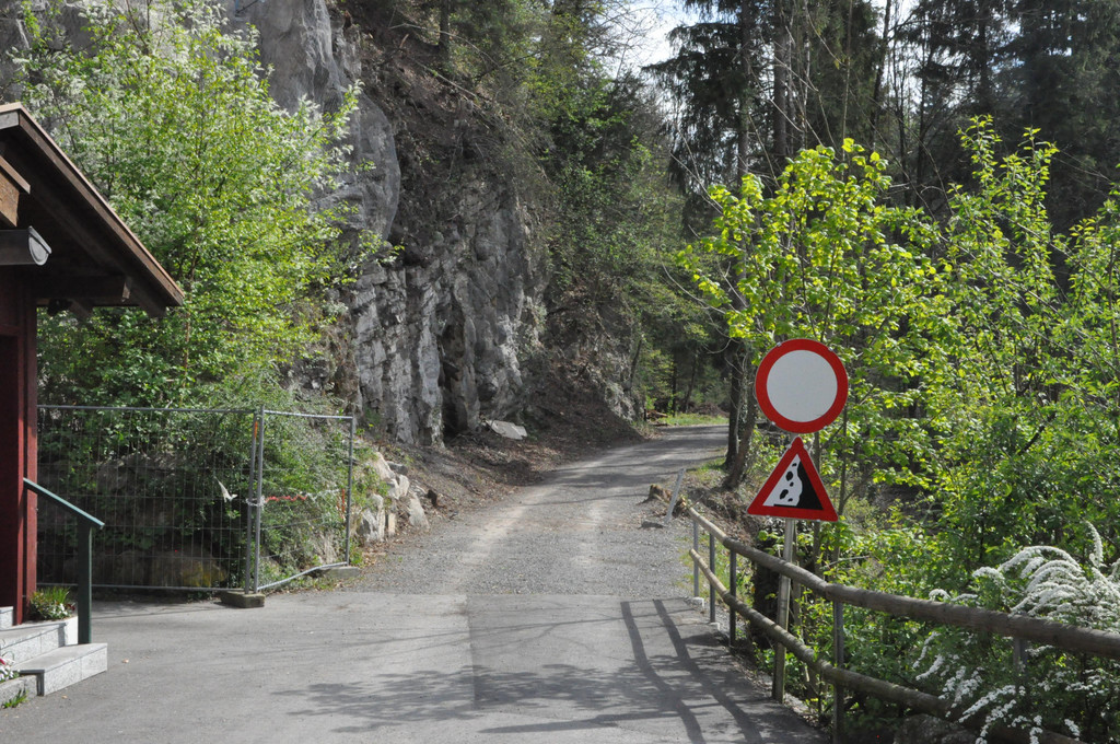 DSC_0078.JPG