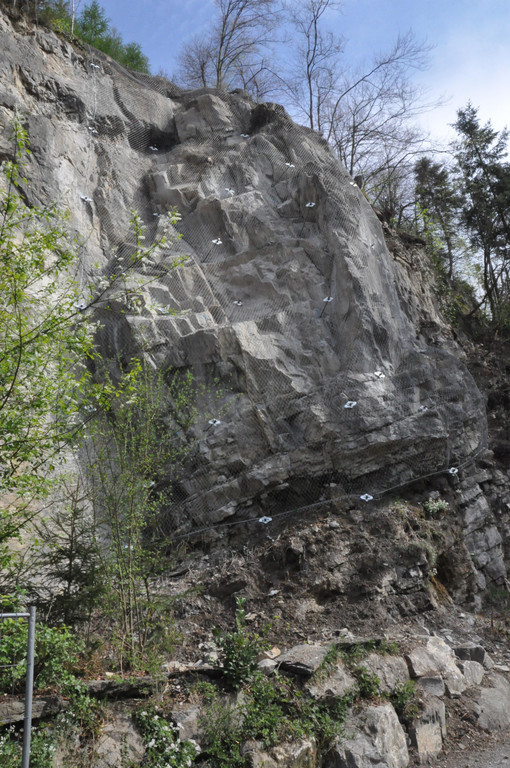 DSC_0081.JPG