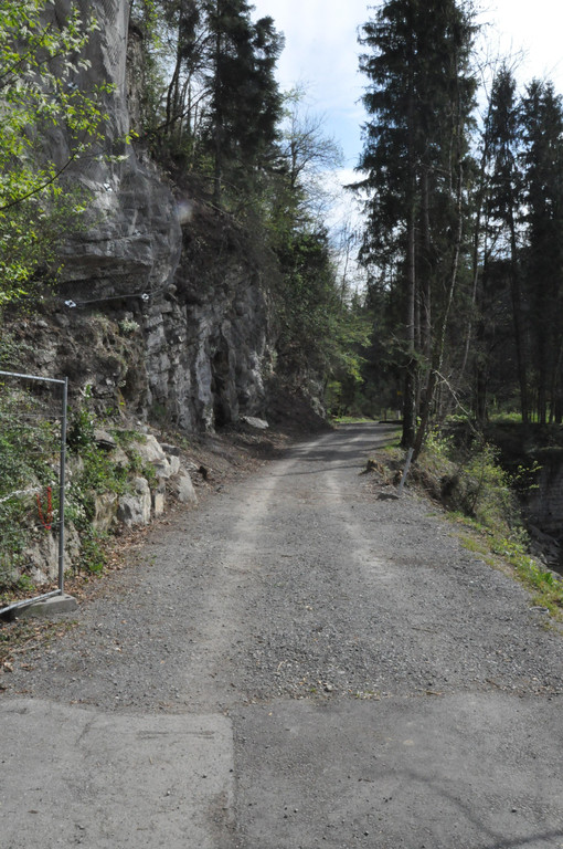 DSC_0087.JPG
