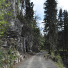 DSC_0087.JPG