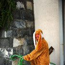 DSC05073.JPG