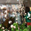 DSC05176.JPG
