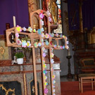 DSC_7426.jpg