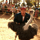 Impressionen zum Film