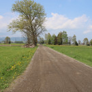 Landgrabenweg1.JPG