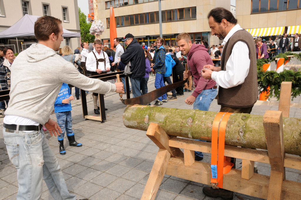 Maibaum Ho__chst 2013 49.jpg