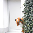 Der Osterhase in Bludesch