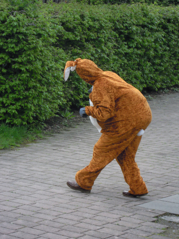 Foto 17 2014 023.jpg