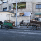 PA210216.JPG