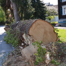 DSC_0106.JPG