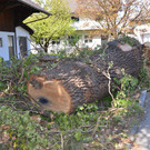 DSC_0107.JPG