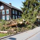 DSC_0108.JPG