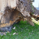 DSC_0112.JPG