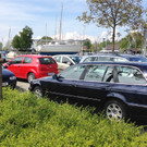 Parken am See Hard.jpg