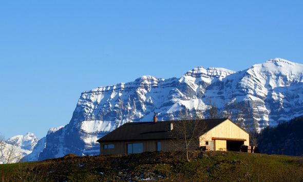 DSC06245.jpg