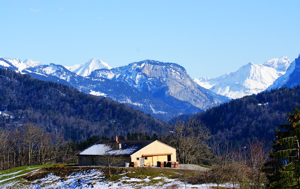 DSC07894.JPG