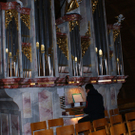 DSC07956.JPG