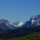 DSC07978.JPG