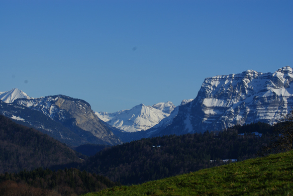 DSC07978.JPG