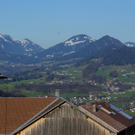 DSC07980.JPG