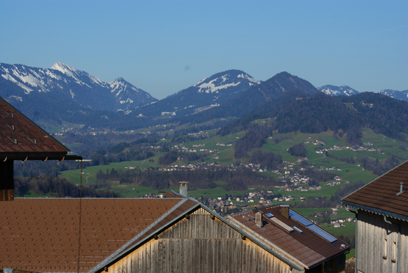 DSC07980.JPG