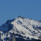DSC07990.JPG