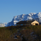DSC08000.JPG
