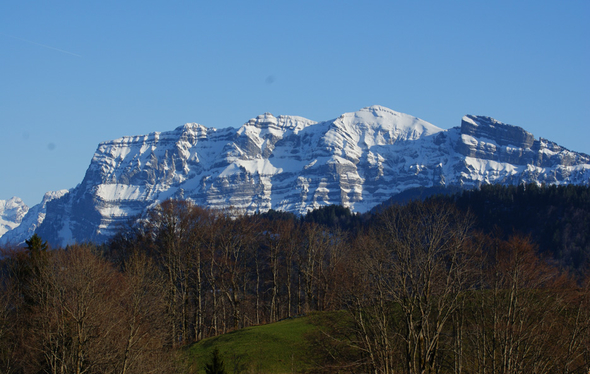 DSC08006.JPG