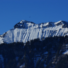 DSC08036.JPG
