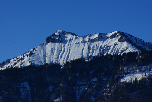 DSC08036.JPG