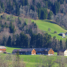 DSC08041.JPG