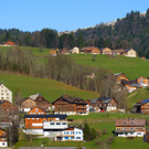 DSC08044.JPG