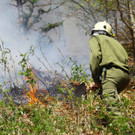 Waldbrand Sonntag01.jpg