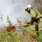 Waldbrand Sonntag02.jpg