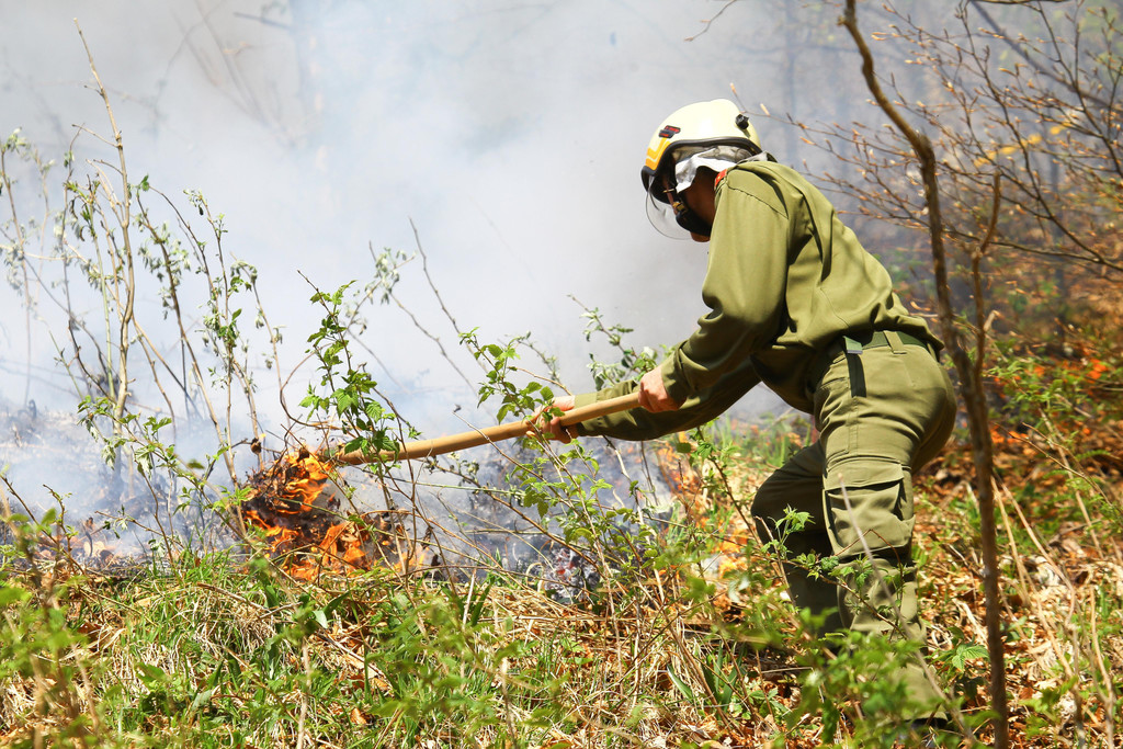 Waldbrand Sonntag03.jpg